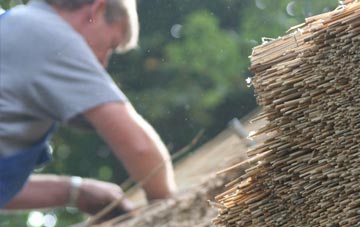 professional Ashtead thatchers