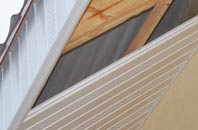 rated Ashtead soffit repair companies